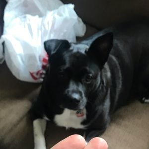 Meet your Posher, Tim